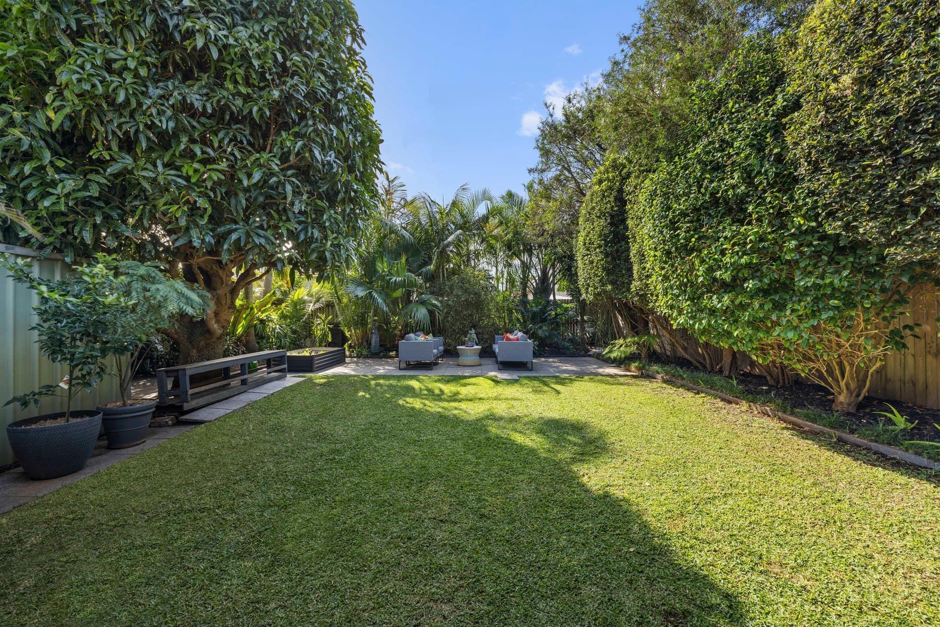 8 Hastings Street, Botany, Botany - Thumbnail 4