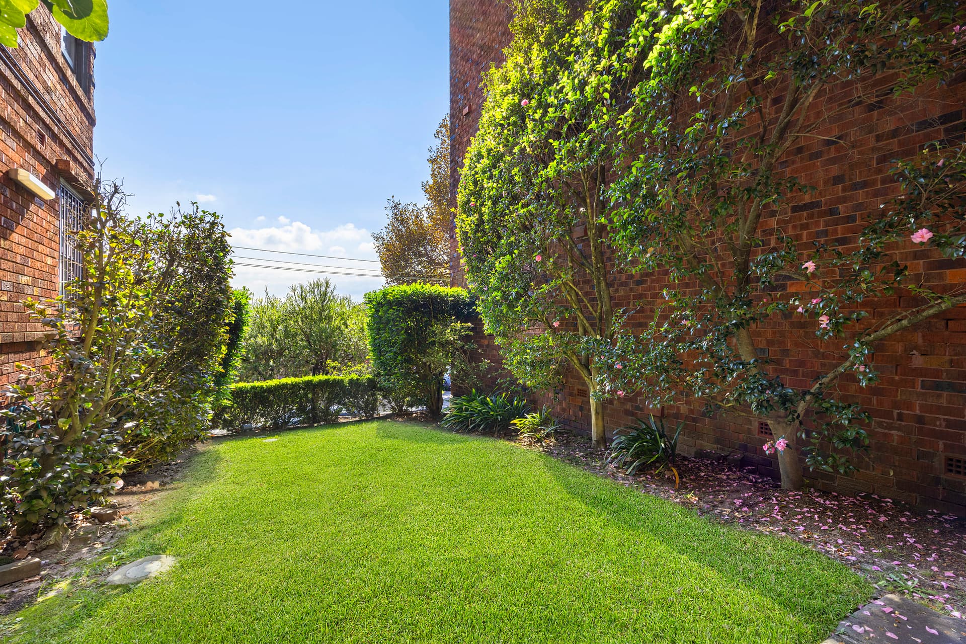 4/342 Edgecliff  Road, Woollahra, Woollahra - Thumbnail 7