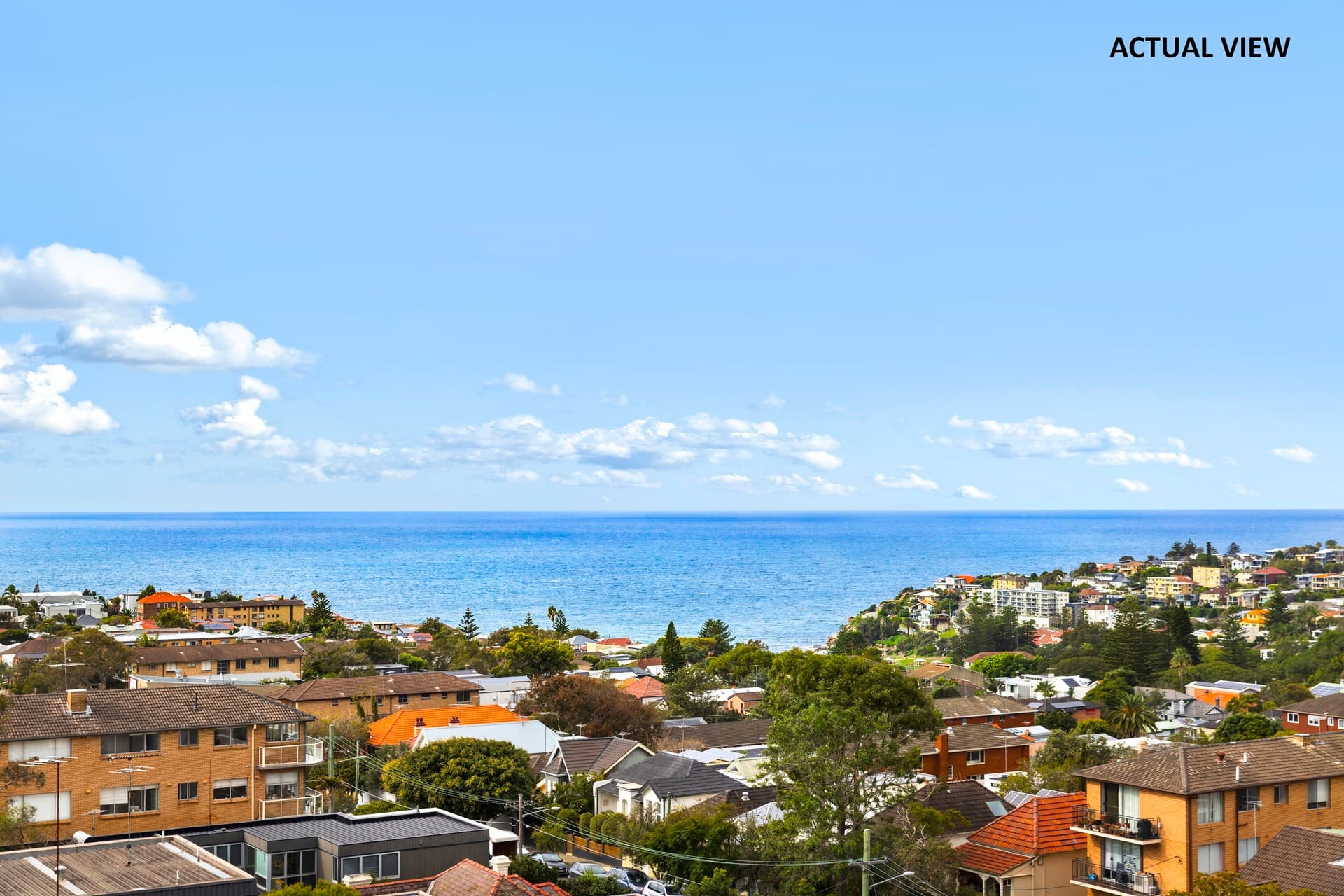12/207 Birrell Street, Waverley, Waverley - Thumbnail 7