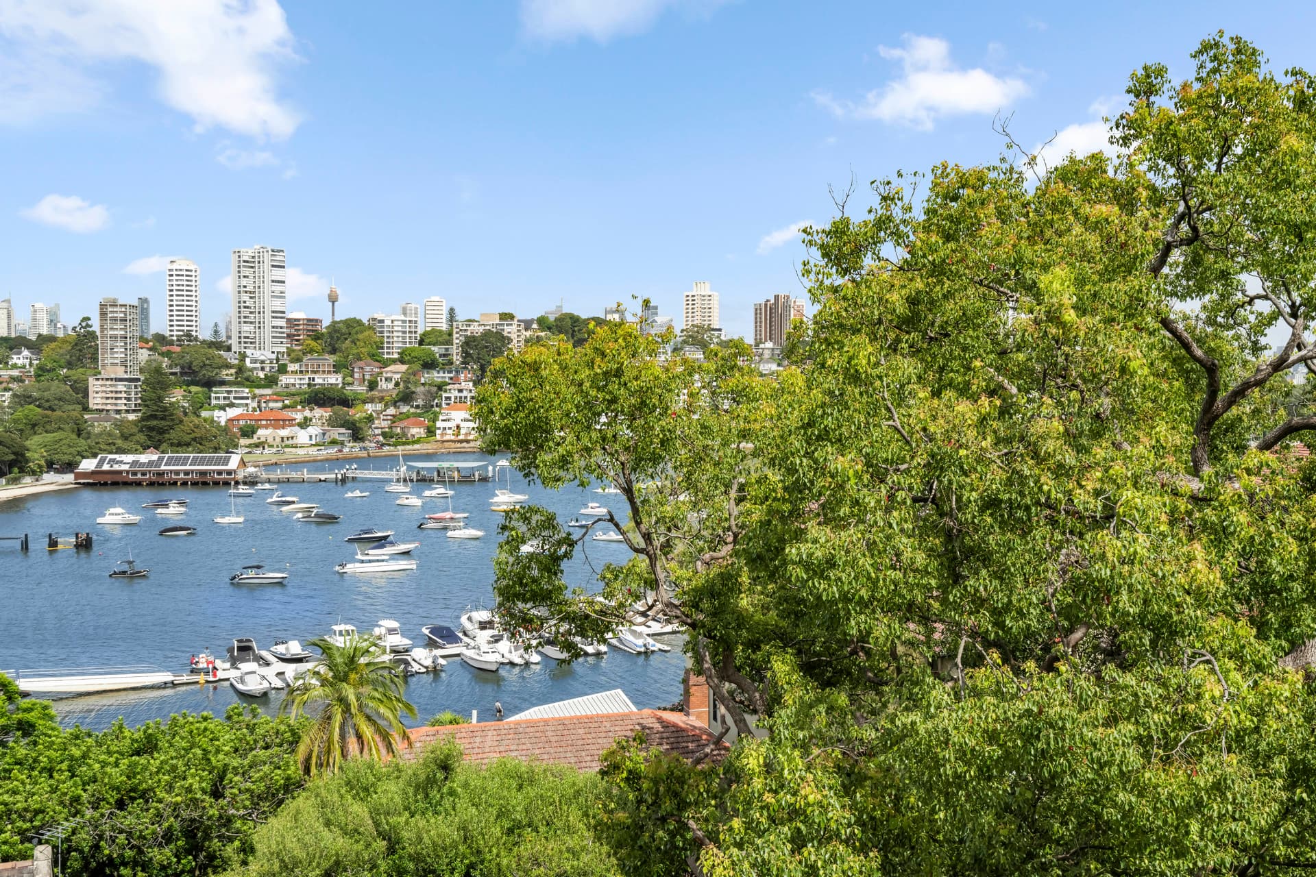 11/534 New South Head  Road, Double Bay, Double Bay - Thumbnail 2