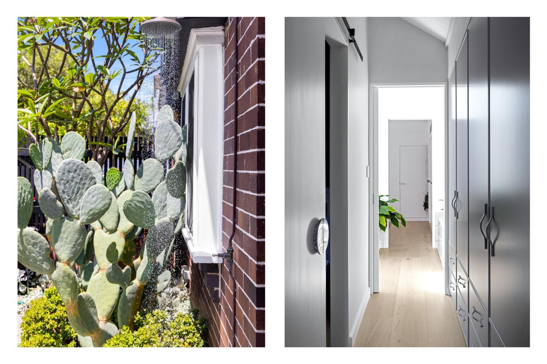 25 Marcel Avenue, Randwick, Randwick - Thumbnail 5
