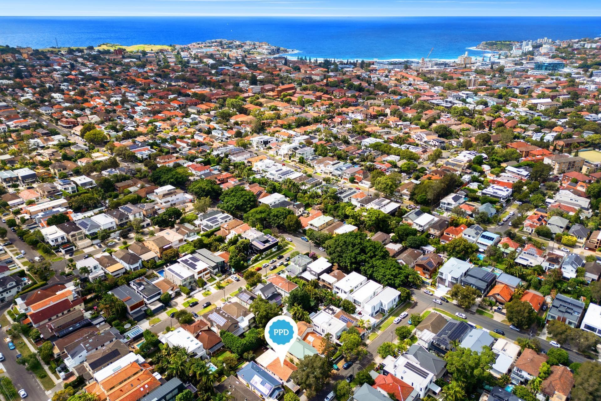 9 Elliott Street, North Bondi, North Bondi - Thumbnail 3