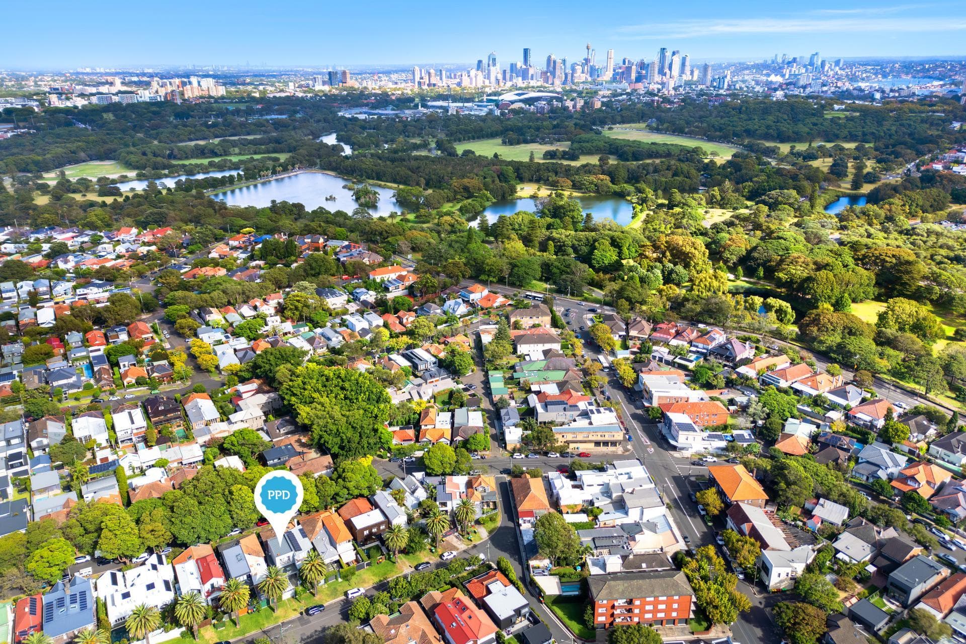 45 Earl Street, Randwick, Randwick - Thumbnail 5