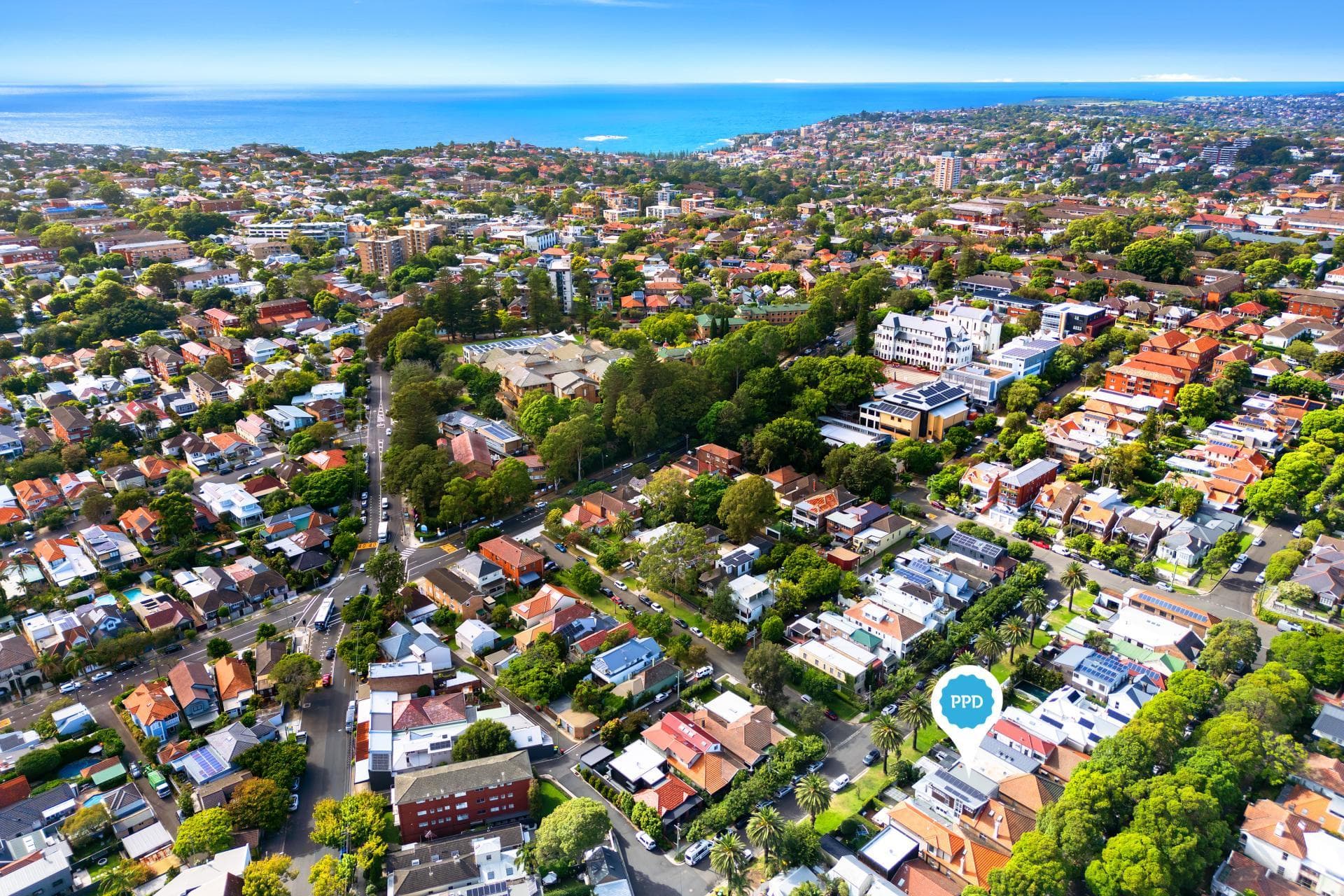 45 Earl Street, Randwick, Randwick - Thumbnail 6