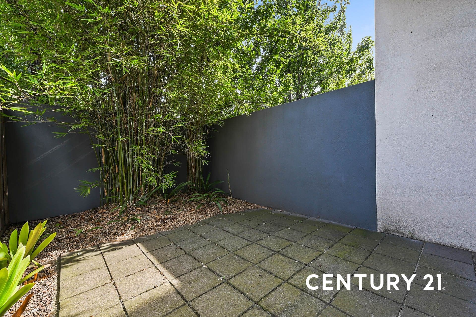 41/949 Dandenong Road, Malvern East, VIC, 3145, Malvern East - Thumbnail 4