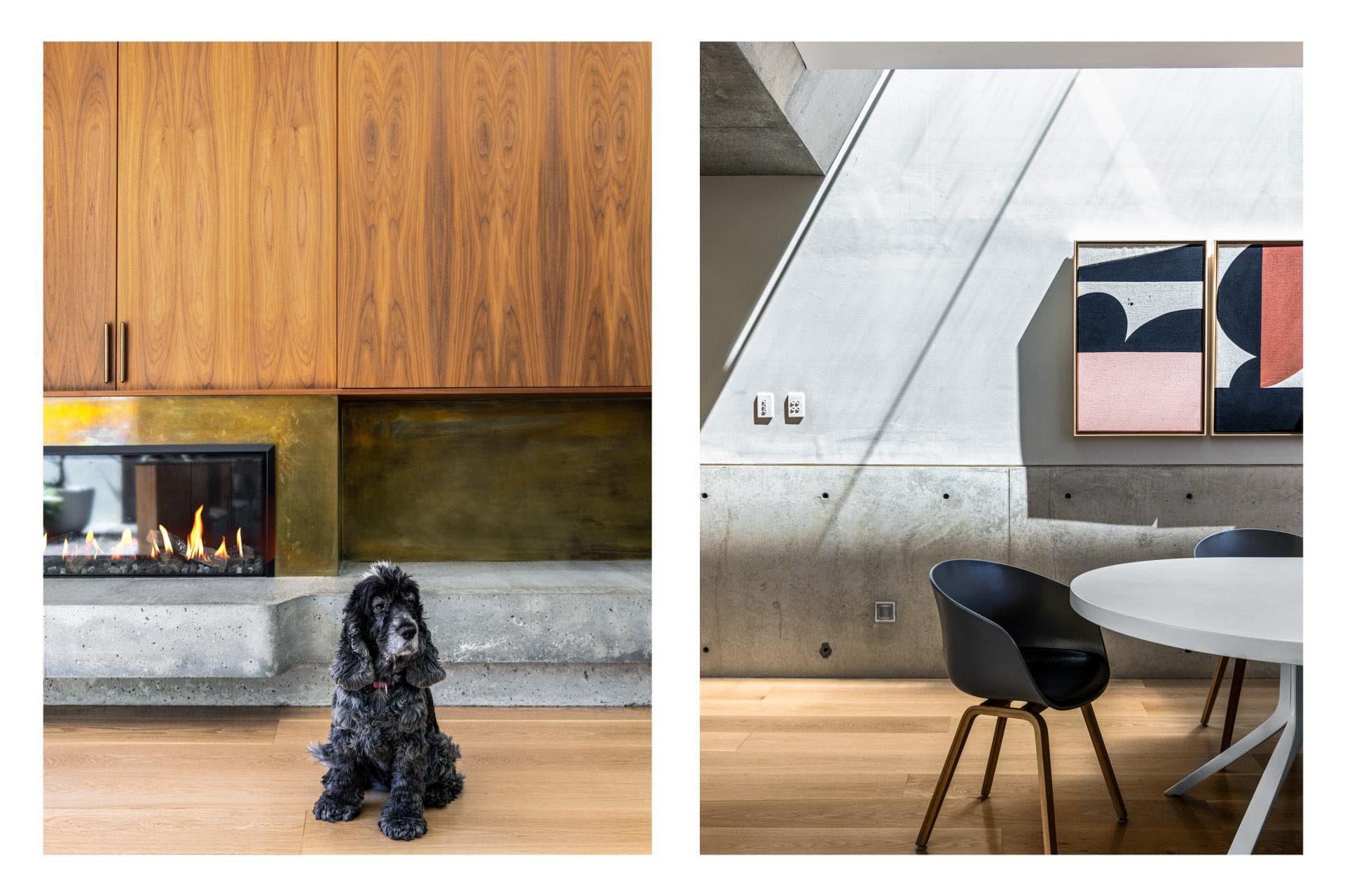 22 Barclay Street, Waverley, Waverley - Thumbnail 5