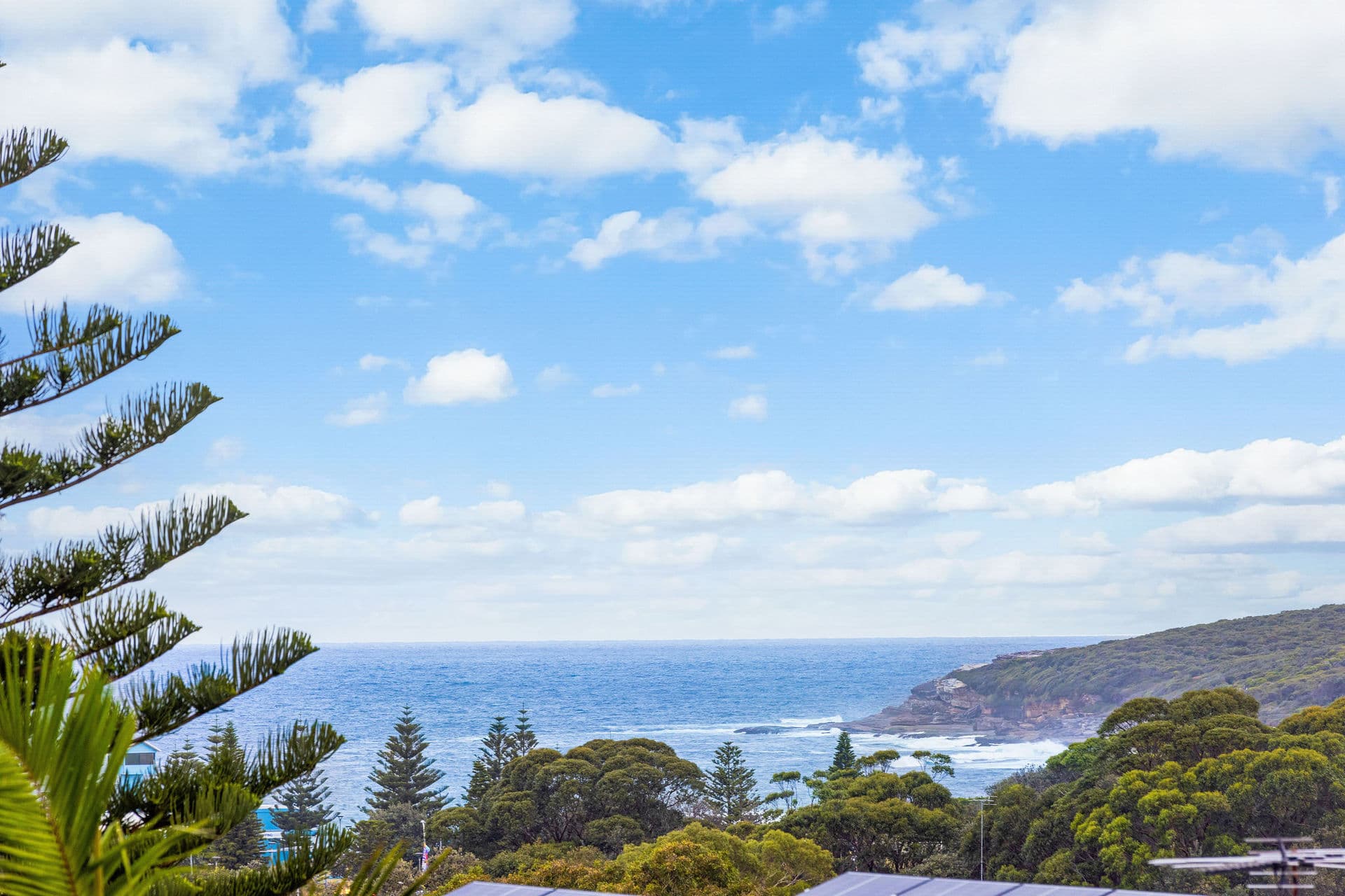 20 Little Street, Maroubra, Maroubra - Thumbnail 2