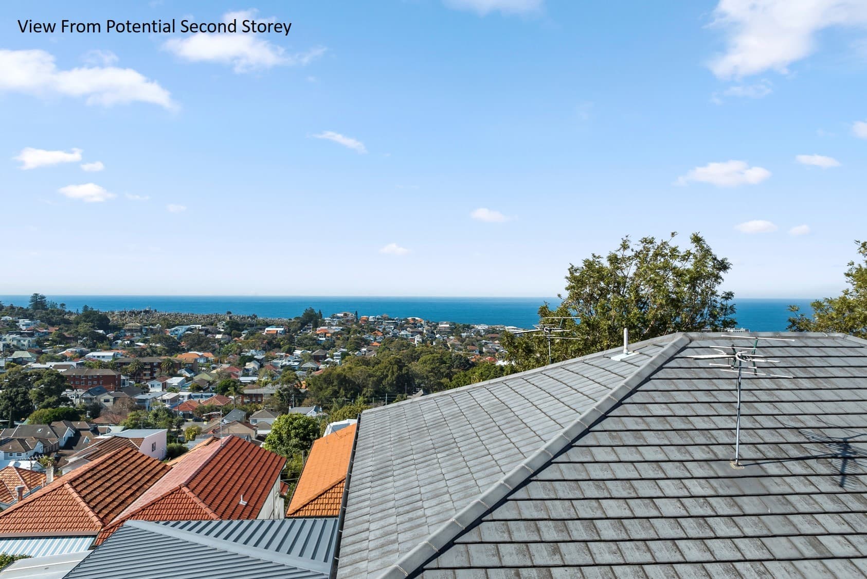 25 Greville Street, Clovelly, Clovelly - Thumbnail 7