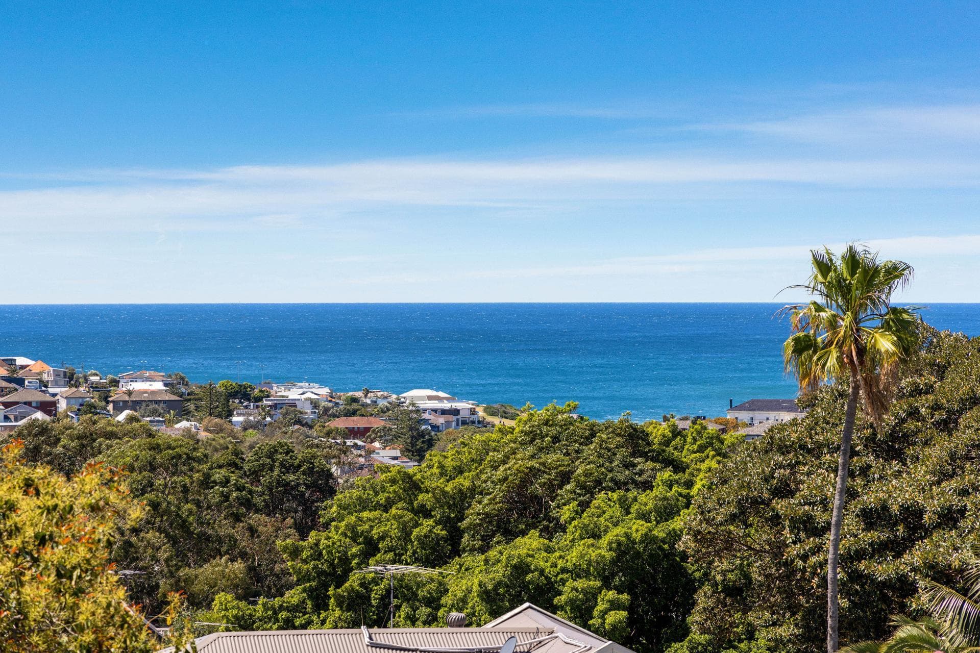 35 Knox  Street, Clovelly, Clovelly - Thumbnail 8