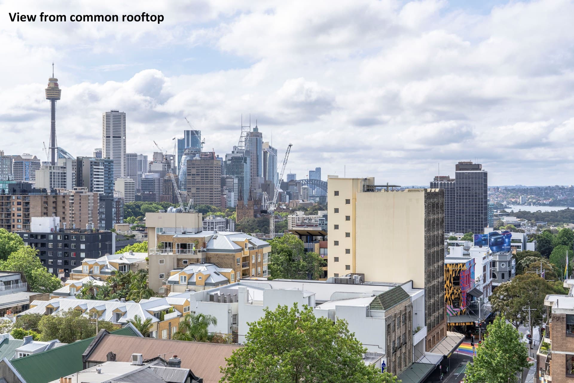 402/6 Short Street, Surry Hills, Surry Hills - Thumbnail 4