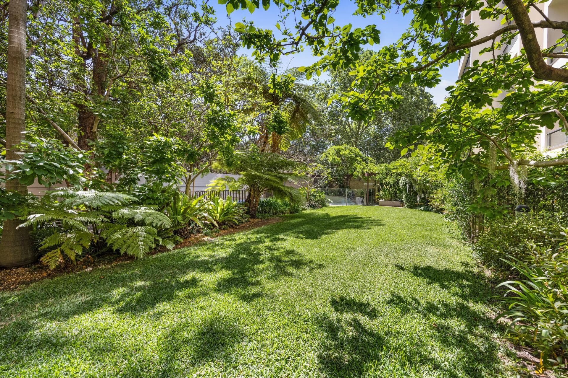 4/1 Boomerang  Place, Woolloomooloo, Woolloomooloo - Thumbnail 5