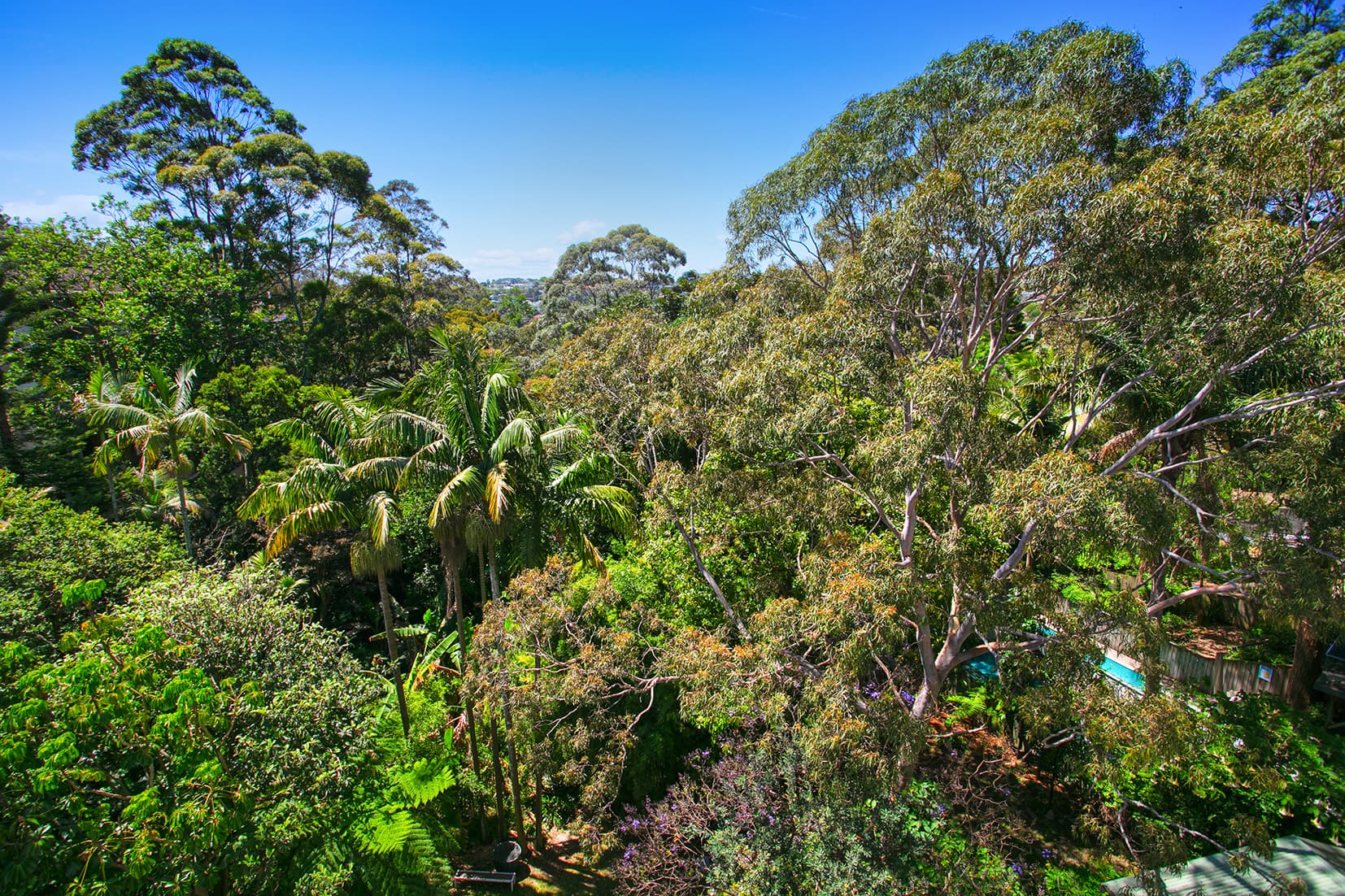 A2/295 Edgecliff  Road, Woollahra, Woollahra - Thumbnail 2