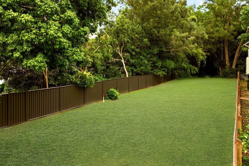 148 Witton Road, Indooroopilly - Thumbnail 4