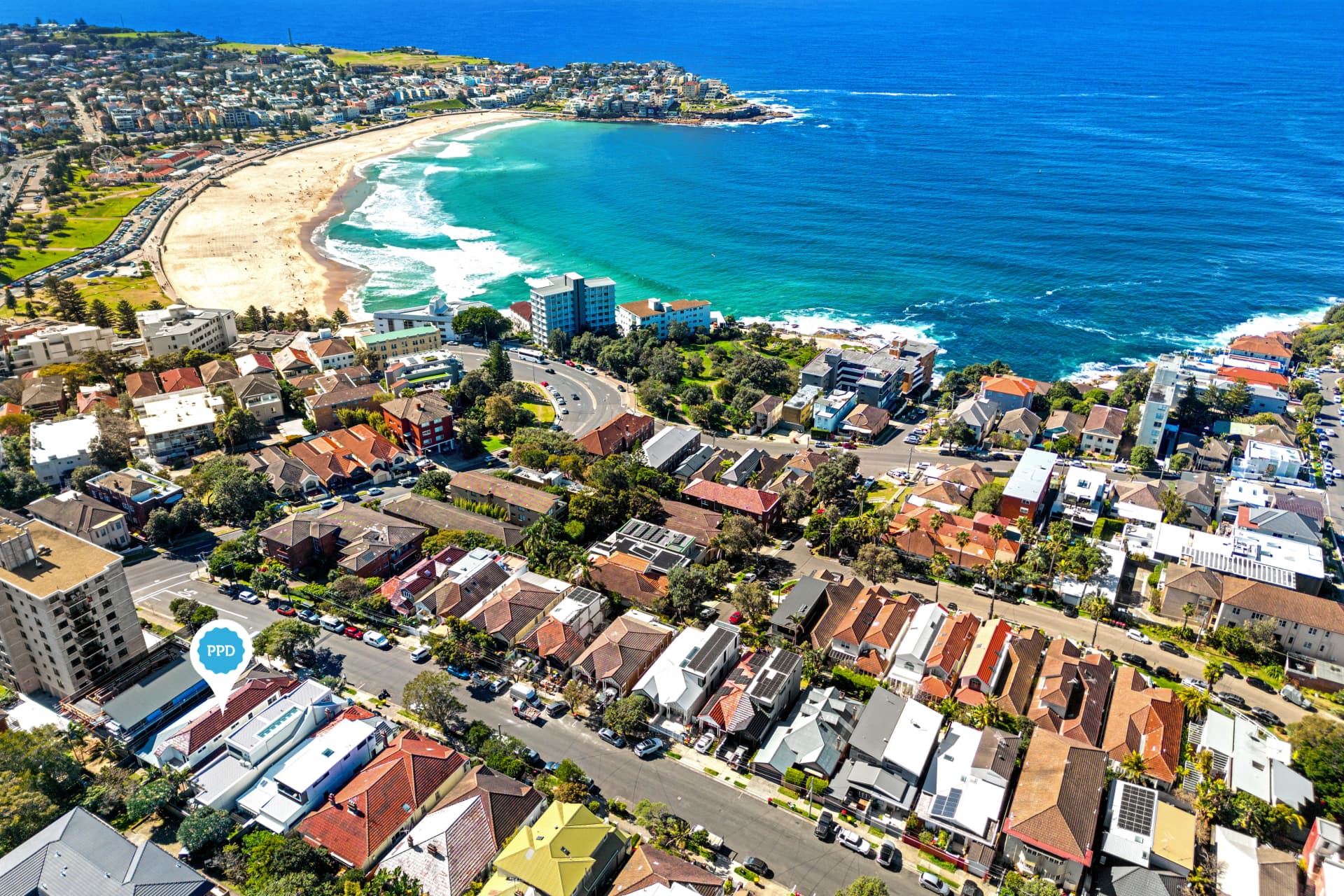 7 Dudley Street, Bondi, Bondi - Thumbnail 8