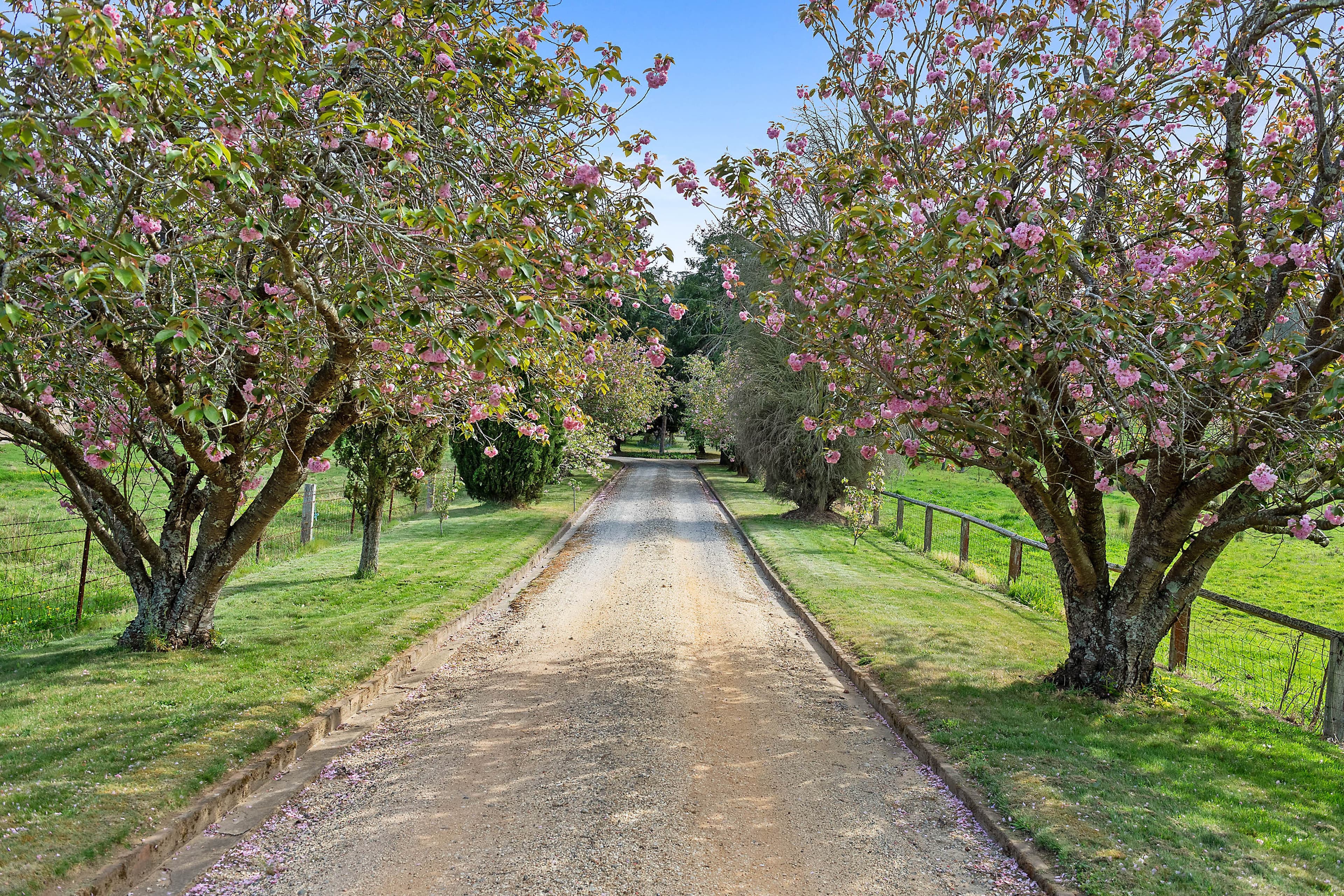 202 Merrigang Street, Bowral, NSW, 2576, Bowral - Thumbnail 3