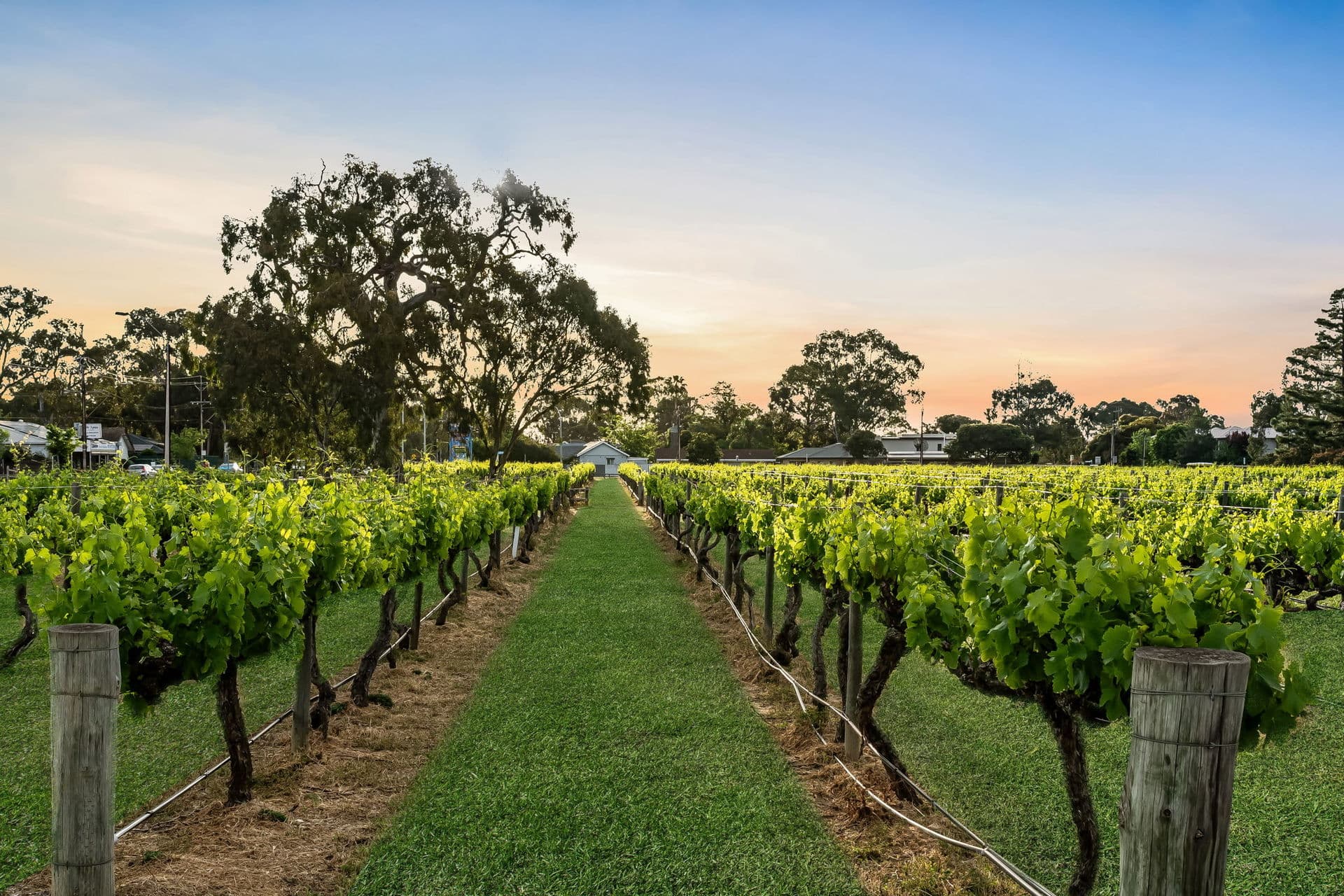 34 Western Avenue, Park Holme - Thumbnail 4