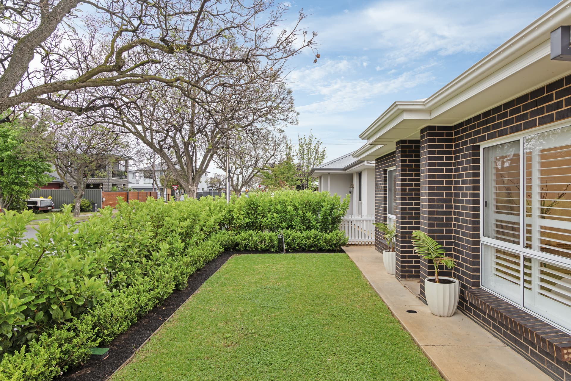 12 Wilson Street, Plympton Park - Thumbnail 2