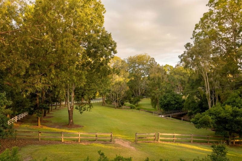130 Savages Road, Brookfield - Thumbnail 4