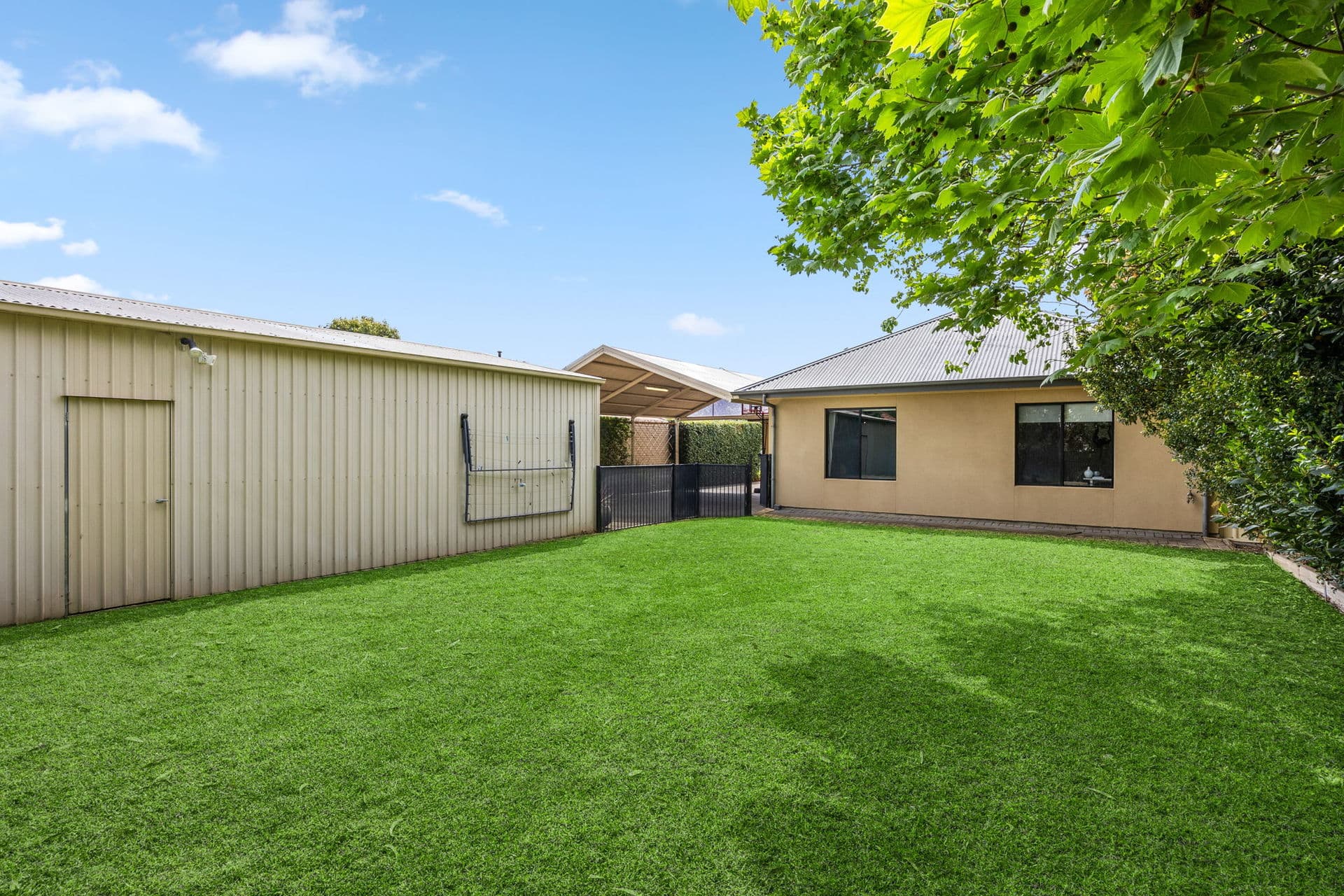16 Elms Avenue, Richmond - Thumbnail 3