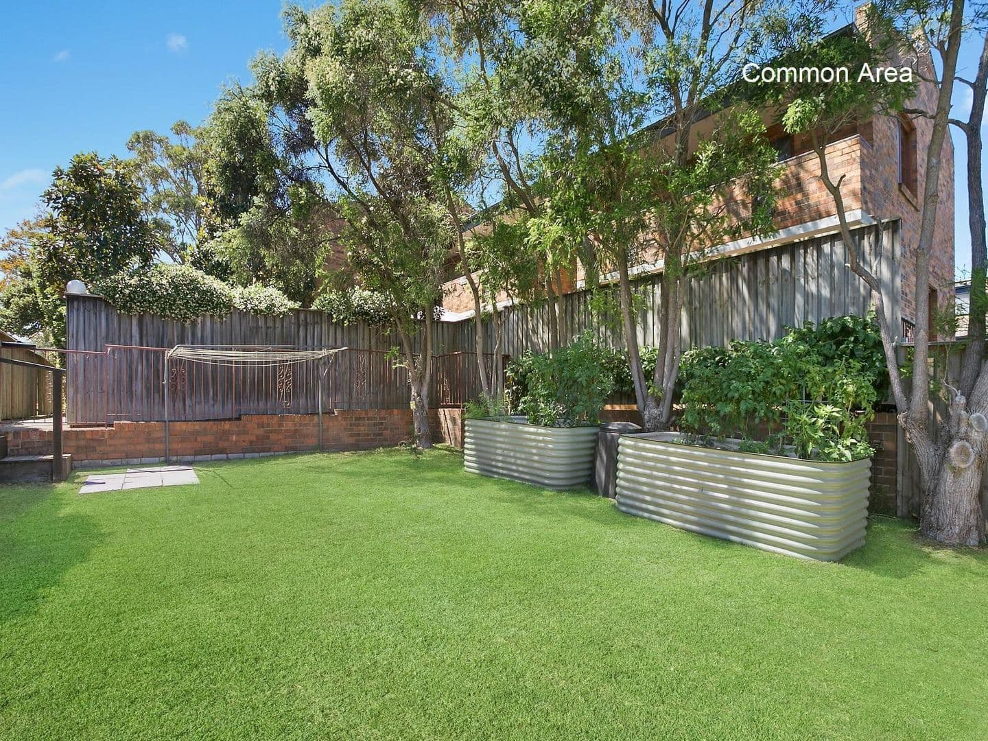 4/2-4 Dine  Street, Randwick, Kensington - Thumbnail 6