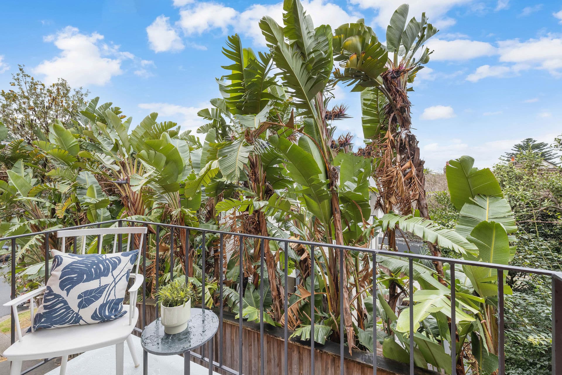 3/292 Clovelly Road, Coogee, Coogee - Thumbnail 6