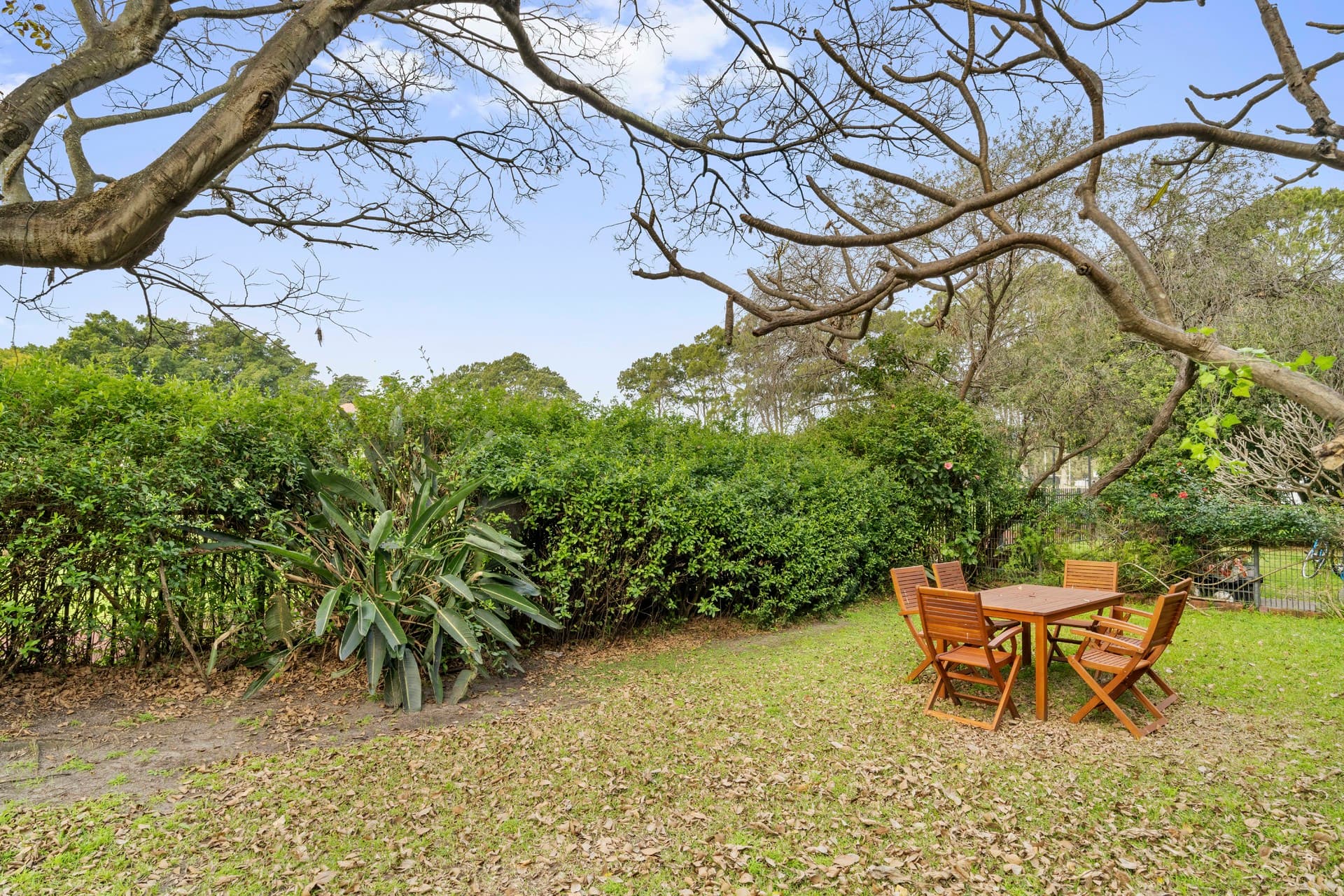9/12 Manion Avenue, Rose Bay, Rose Bay - Thumbnail 3