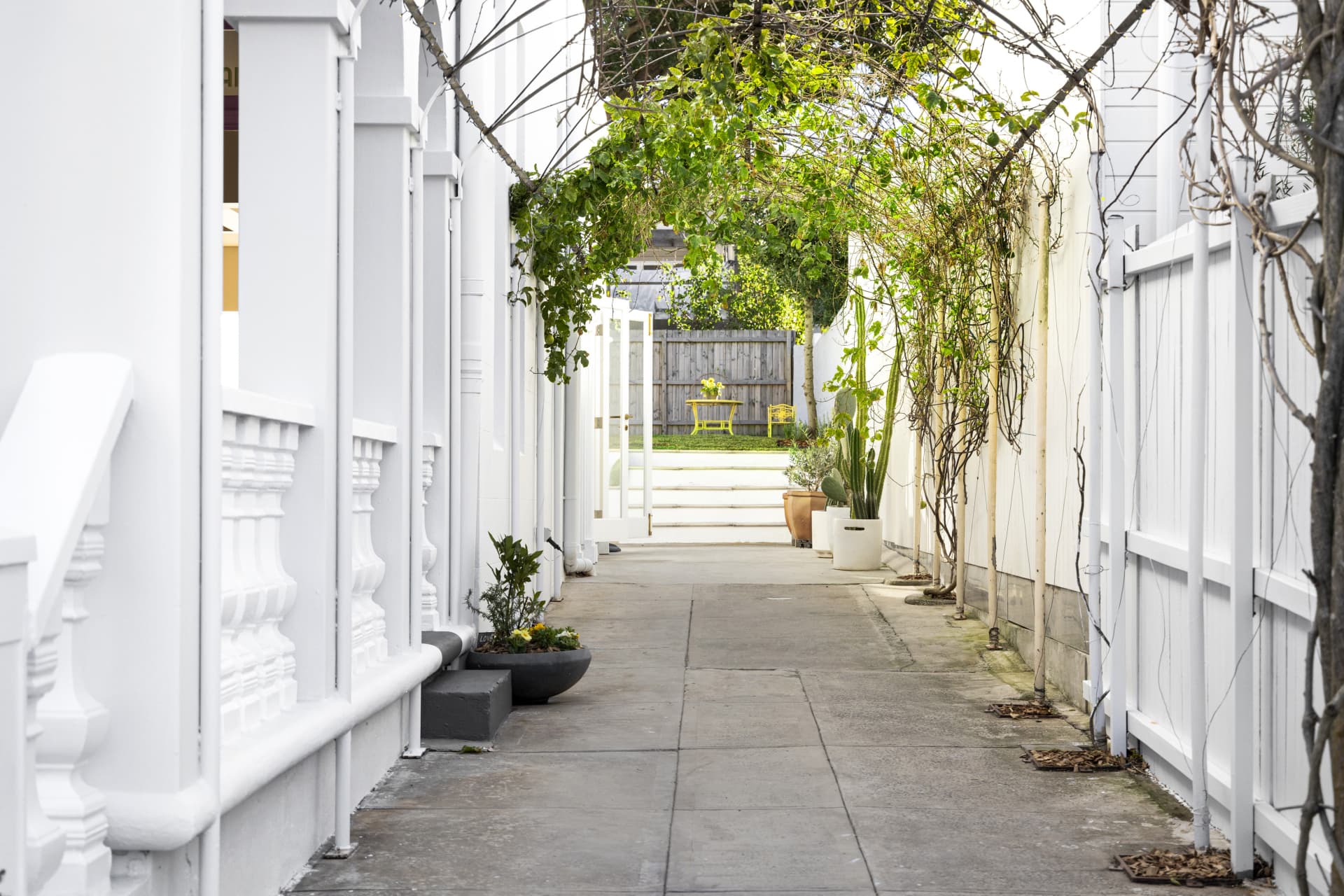 33 Watson Street, Bondi, Bondi - Thumbnail 6