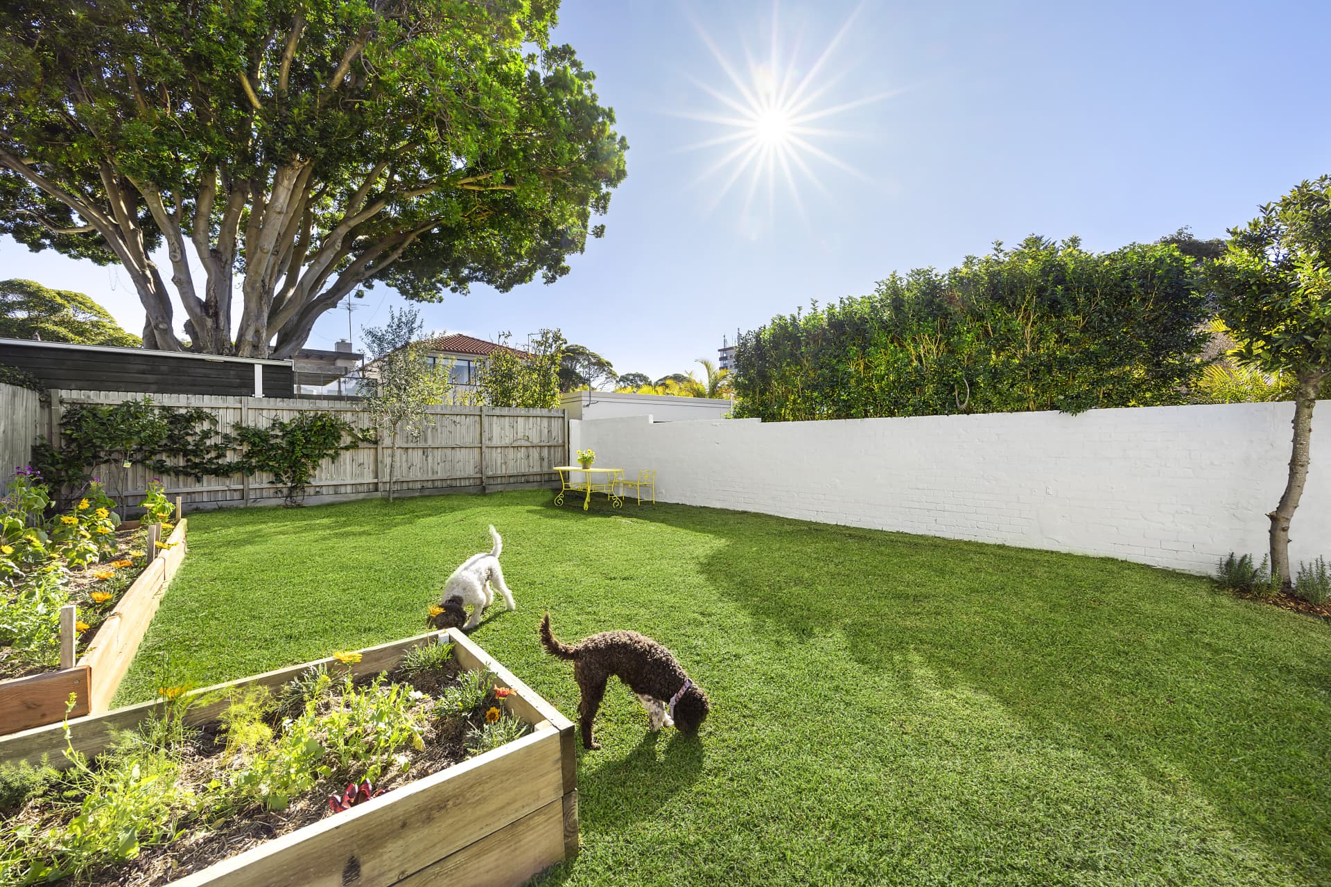 33 Watson Street, Bondi, Bondi - Thumbnail 8