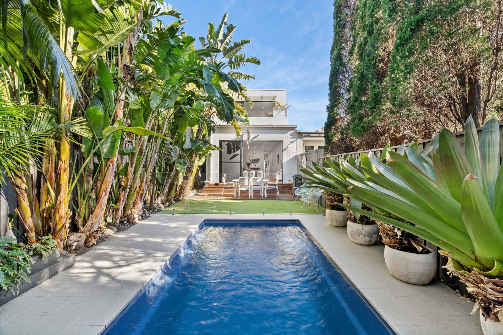 19 Centennial Avenue, Randwick, Randwick - Thumbnail 7