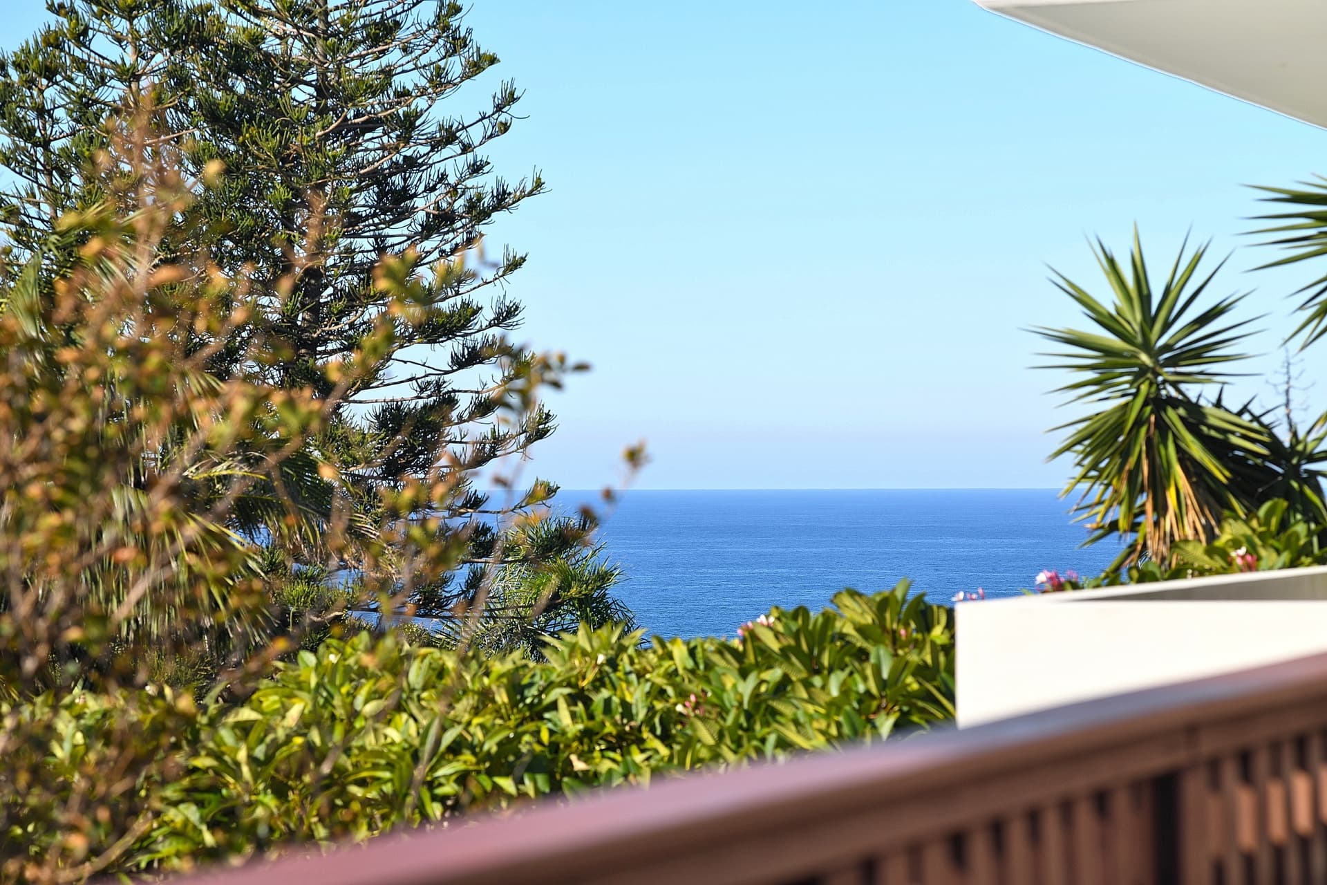 18 Weonga Road, Dover Heights, Dover Heights - Thumbnail 7