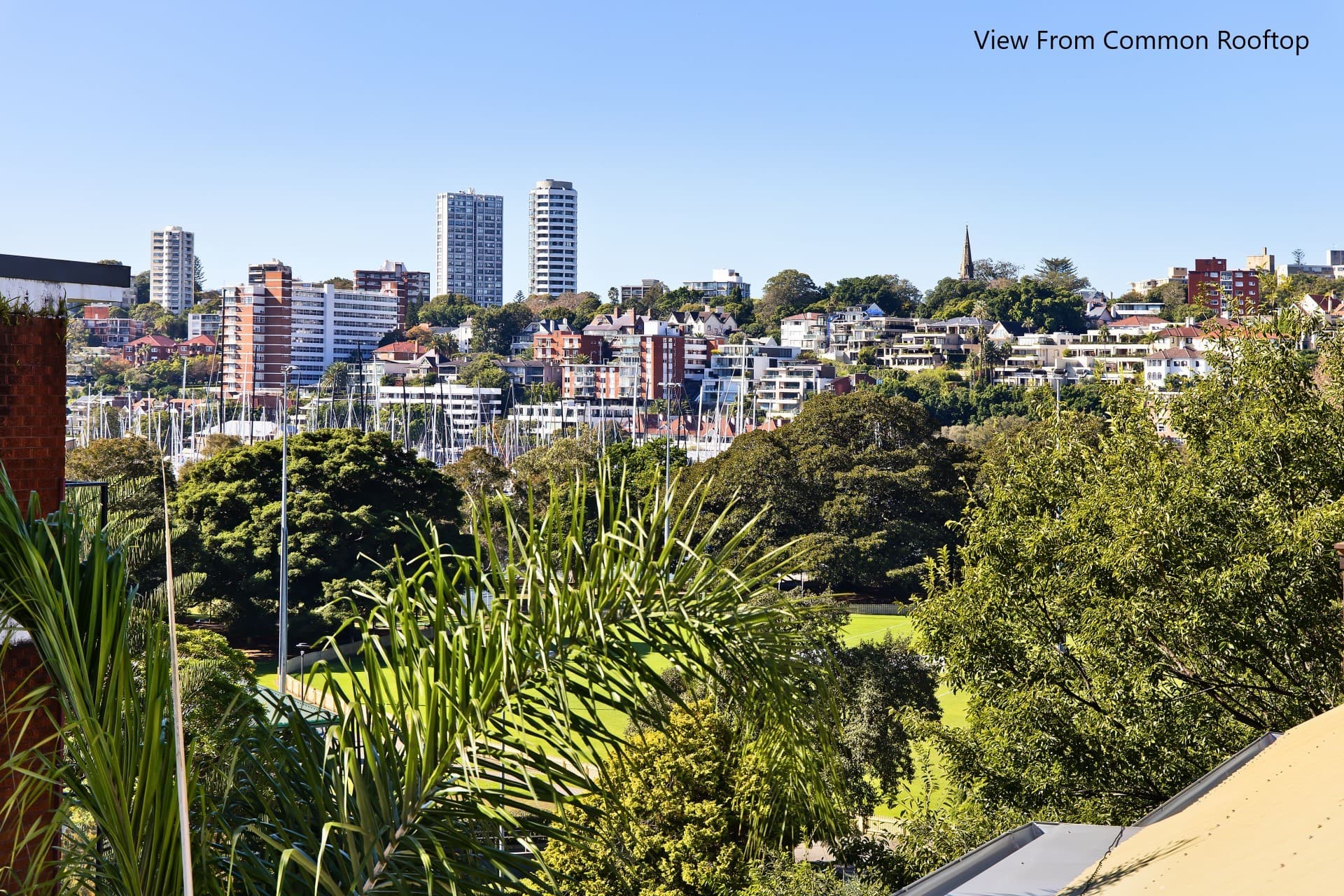 4/46 Roslyn Gardens, Rushcutters Bay, Rushcutters Bay - Thumbnail 5