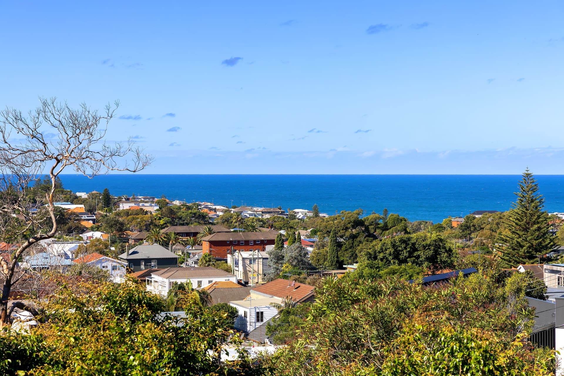 35 Douglas Street, Clovelly, Clovelly - Thumbnail 2