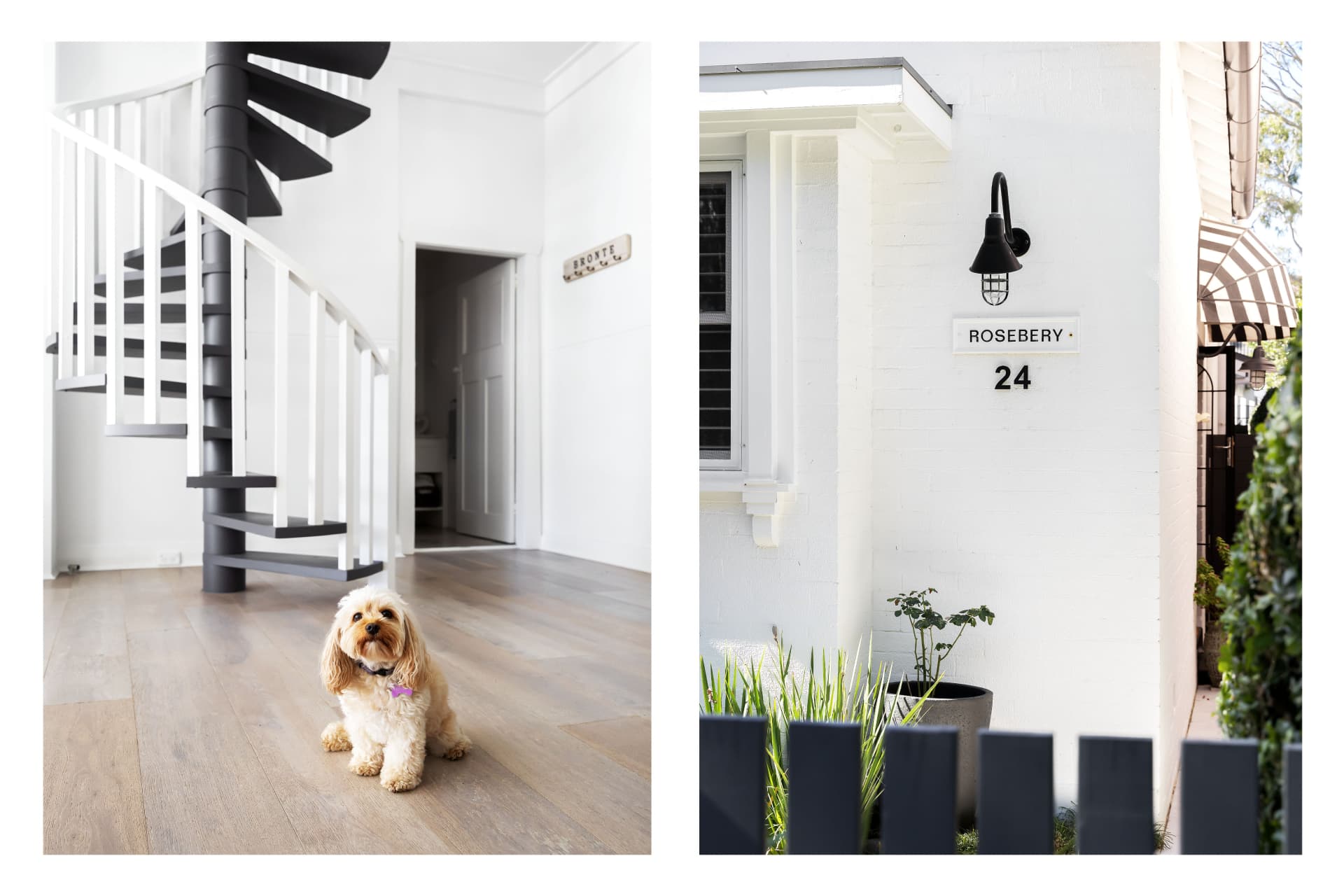 24 Dickson Street, Bronte, Bronte - Thumbnail 5