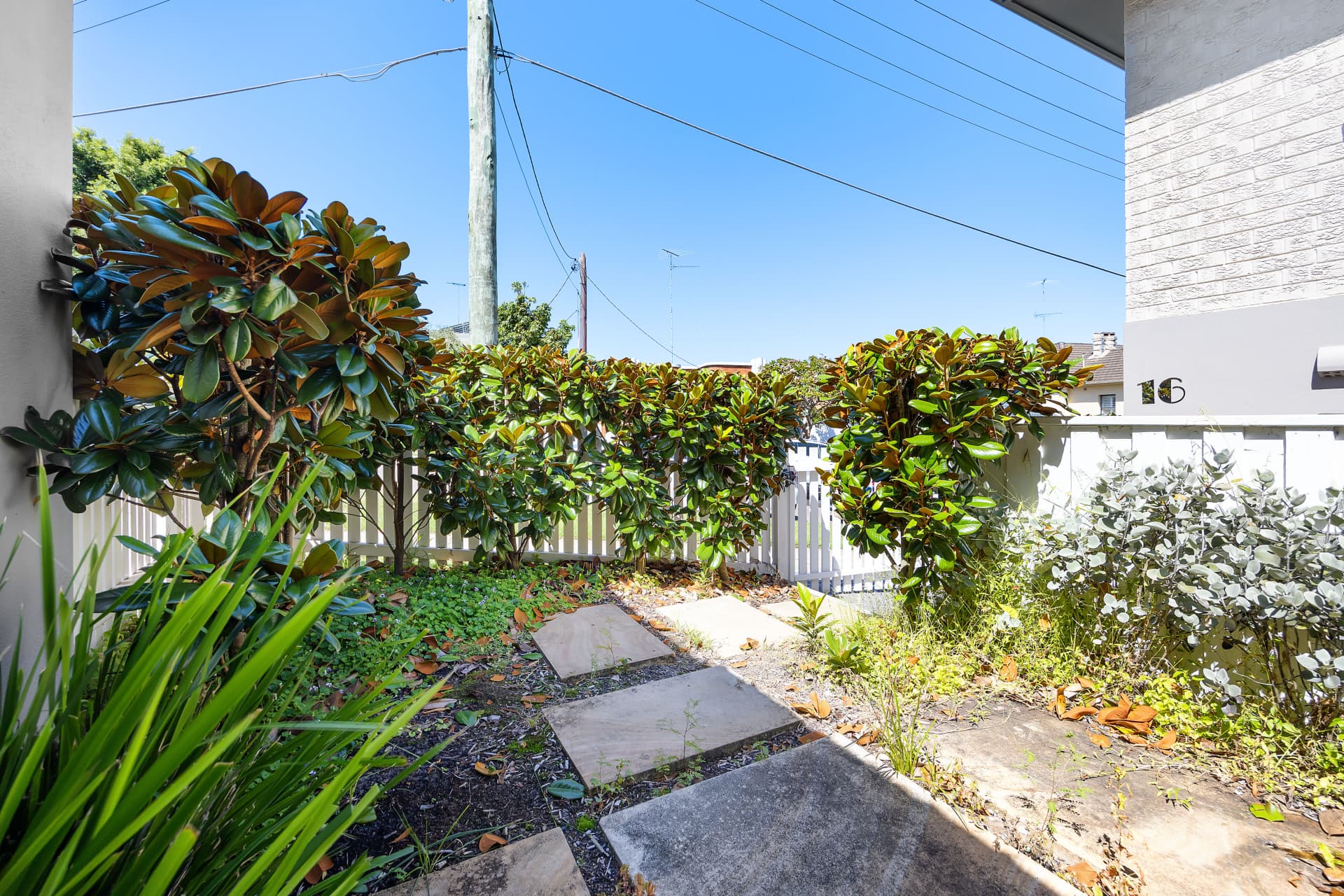 16/62-64 Brown Street, Bronte, Kingsford - Thumbnail 7