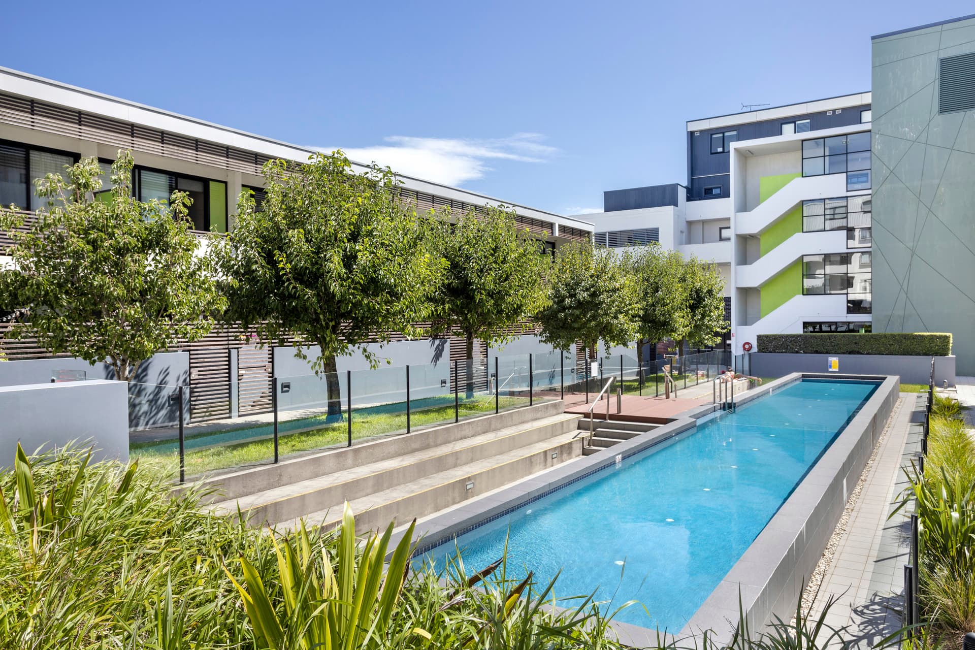 19/1 Primrose Avenue, Rosebery, Rosebery - Thumbnail 5