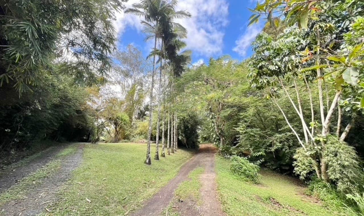 39 Masons Road, Kuranda, Qld 4881, Kuranda - Thumbnail 3