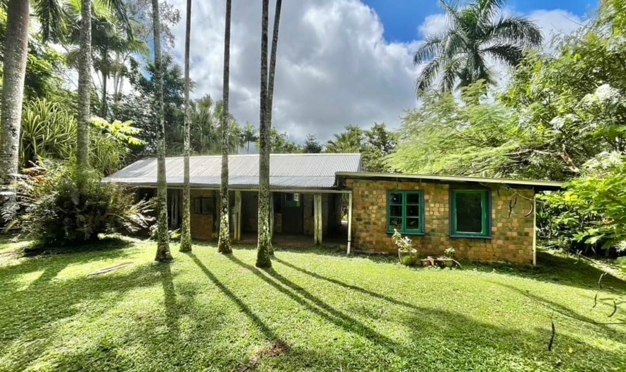 39 Masons Road, Kuranda, Qld 4881, Kuranda - Thumbnail 5