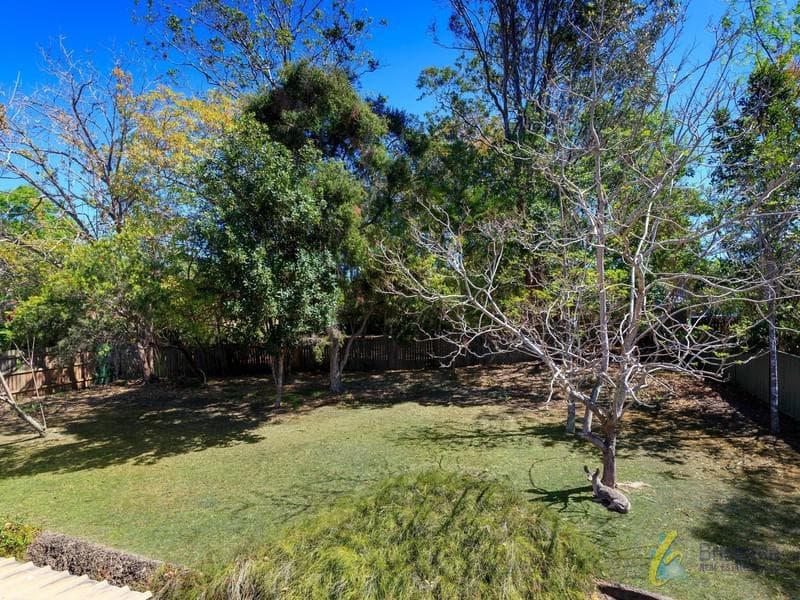 17 Montanus Drive, Bellbowrie - Thumbnail 4