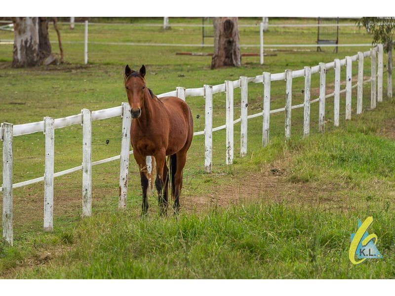 47 Phar Lap Parade,  Karalee, Karalee - Thumbnail 2