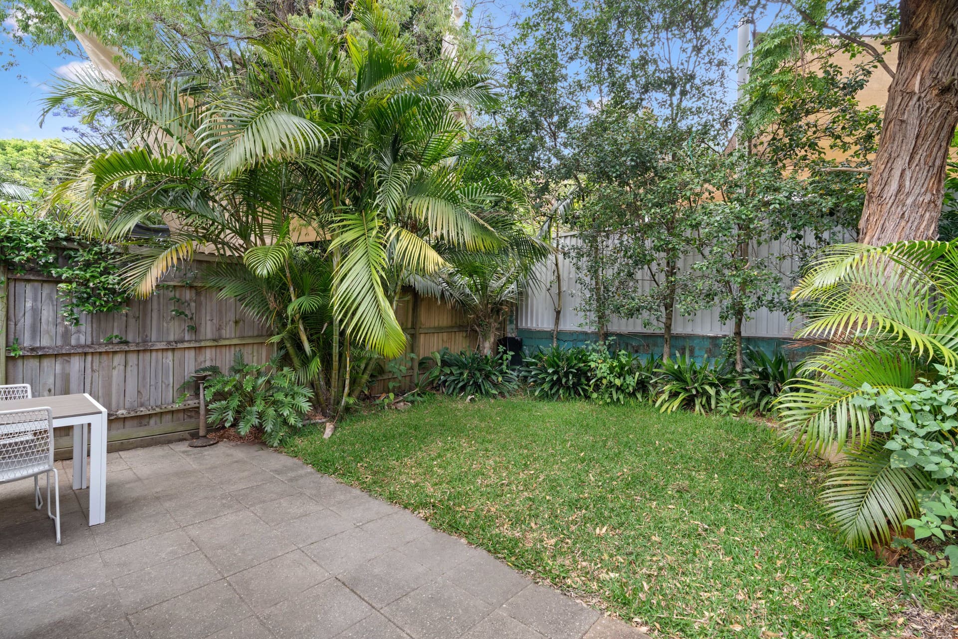 59 Anglesea Street, Bondi, Bondi - Thumbnail 5