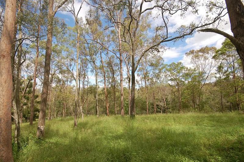 Lot 102 Tillapai Grove, Karana Downs, QLD, 4306, Karana Downs - Image 1