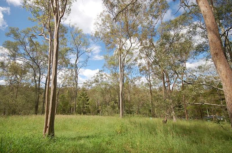 Lot 102 Tillapai Grove, Karana Downs, QLD, 4306, Karana Downs - Thumbnail 2