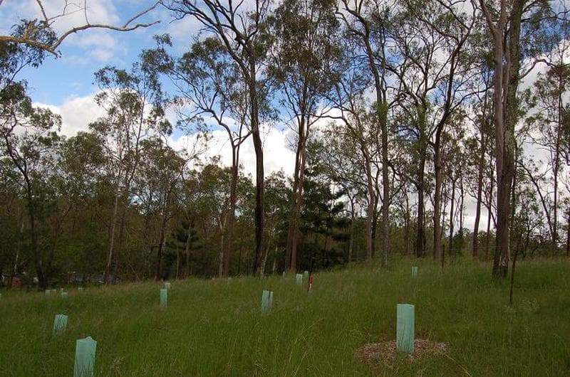 Lot 102 Tillapai Grove, Karana Downs, QLD, 4306, Karana Downs - Thumbnail 4