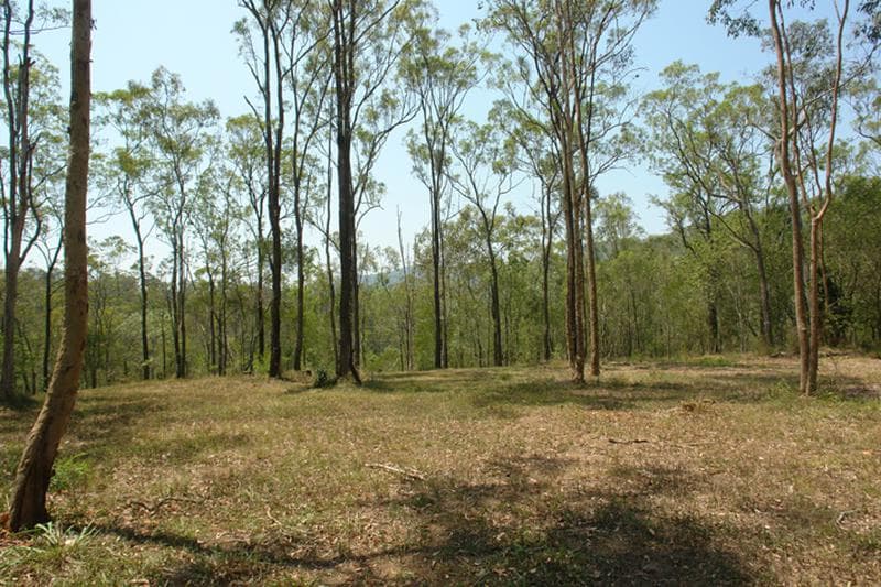 24 Bunya Street, Mount Crosby - Thumbnail 5