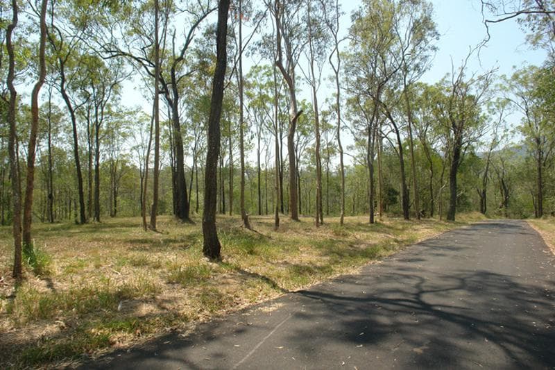 24 Bunya Street, Mount Crosby - Thumbnail 6