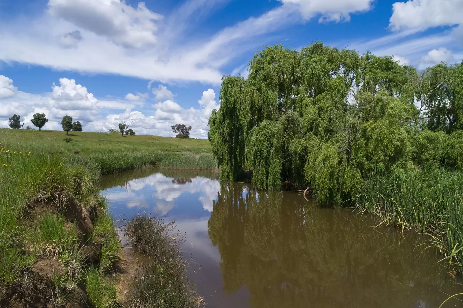 Unit 1, 18 Hume Street, Cobram - Thumbnail 3