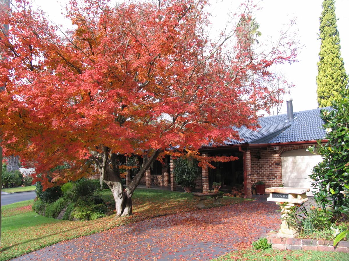 12/177-179 Salisbury Road, Glenorie - Thumbnail 3