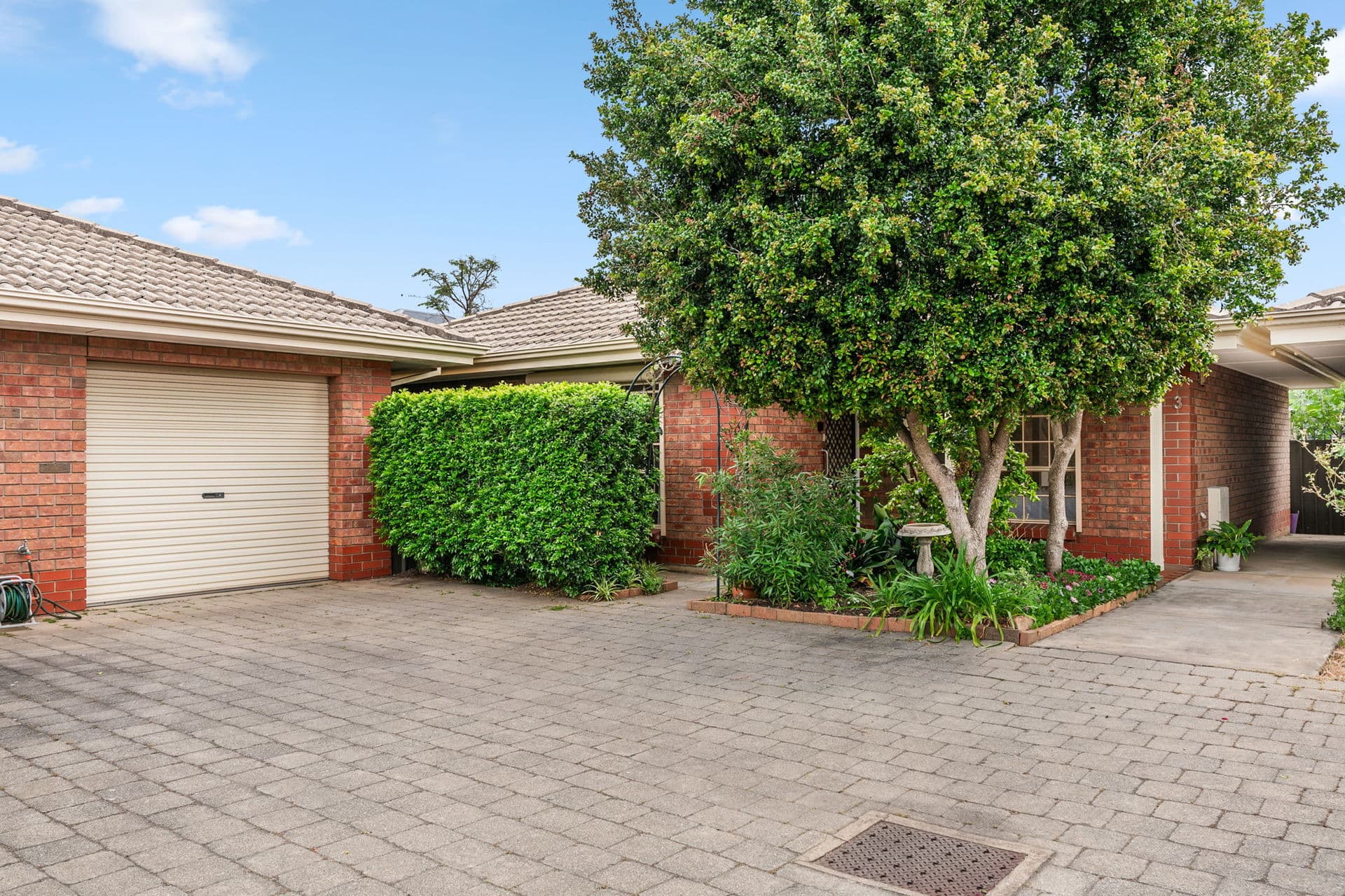 3/16 Wyatt Street, North Plympton - Image 1