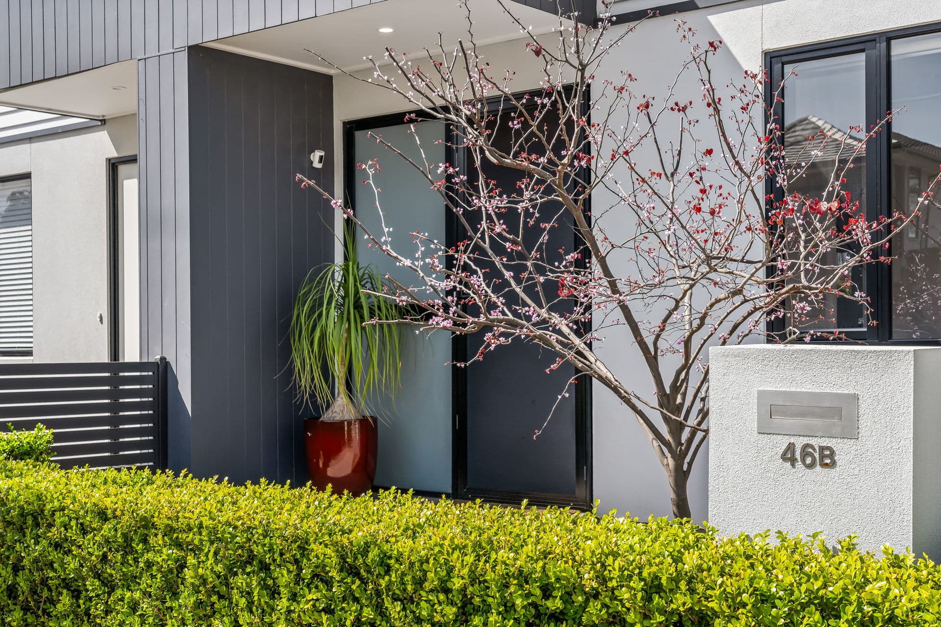 46B Hendrie Street, Morphettville - Thumbnail 2