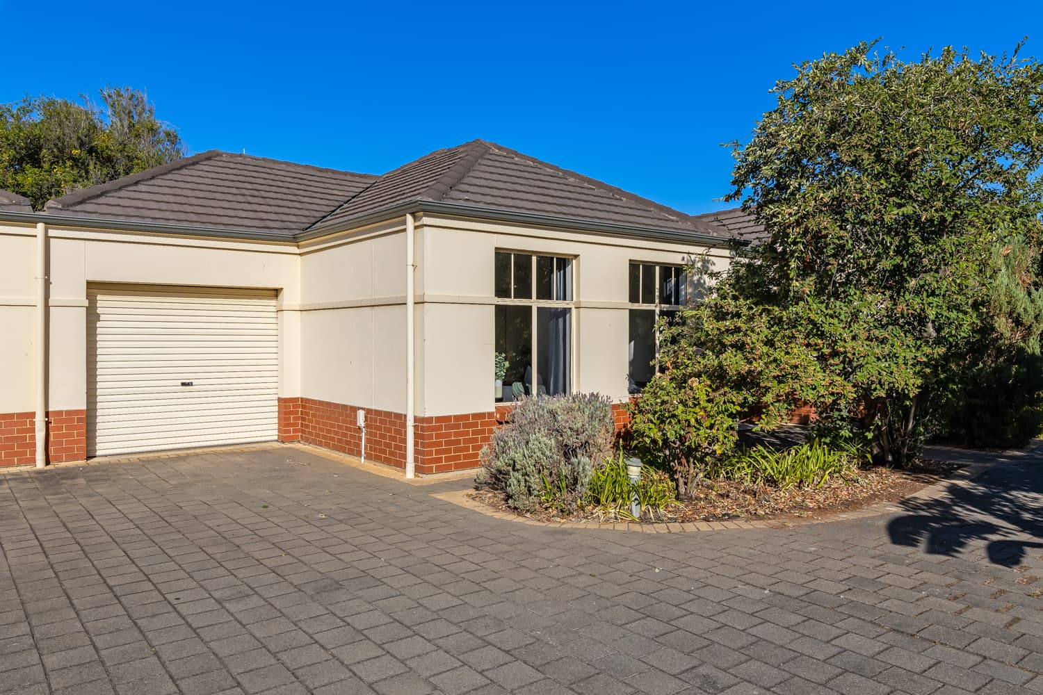 58F Wilton Avenue, Somerton Park - Image 1